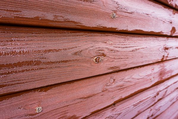 Cedar Siding Cleaning in Conway