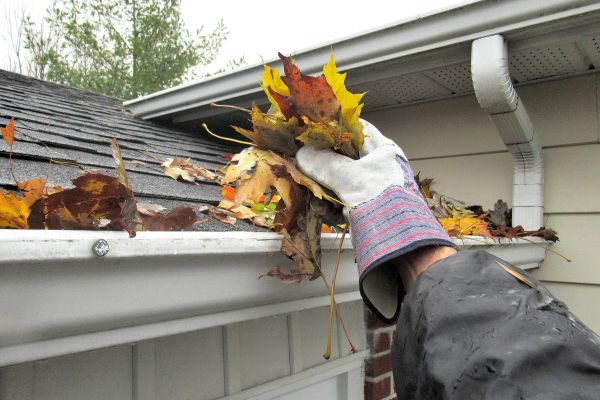 Eaves Cleaning in Conway